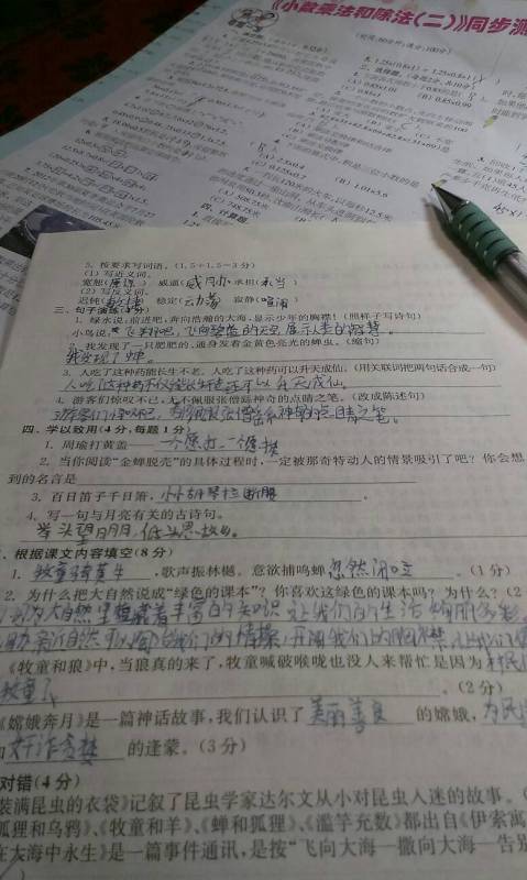 仿寫與菊花有關(guān)的古詩(shī)句