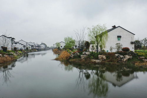 詩句,美景,鄉(xiāng)村,有哪些