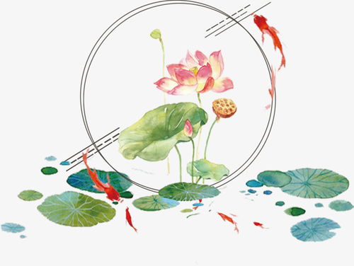 關于荷葉荷花池塘有關的詩句