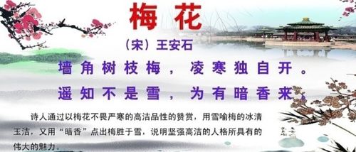 夏天描寫花的詩句古詩大全