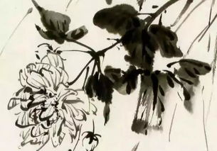 關于好學的古詩,好學的古詩名句,關于好學的古詩五言絕句