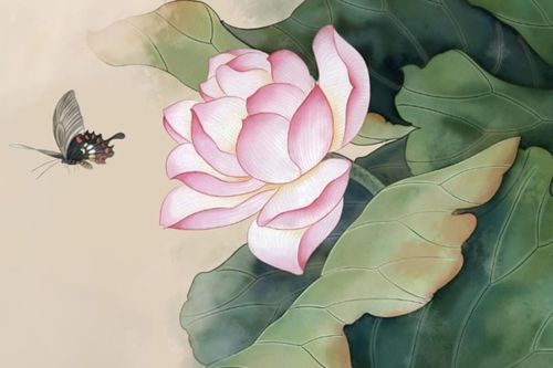 關(guān)于菊蓮牡丹的詩(shī)句古詩(shī)