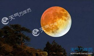 有關(guān)傳統(tǒng)佳節(jié)的古詩(shī)名句詩(shī)句