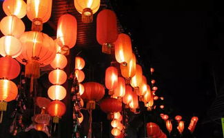 描寫正月十五元宵節(jié)的詩(shī)句,描寫正月十五夜晚的詩(shī)句,描寫花的詩(shī)句古詩(shī)