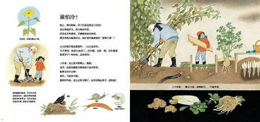 描寫讀書不負(fù)春光的古詩句