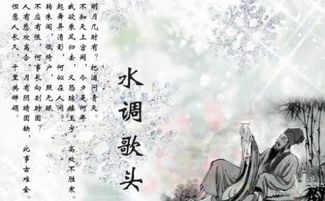 古詩(shī)中含飛的詩(shī)句