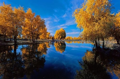 古詩(shī),詩(shī)句,描寫(xiě),大全