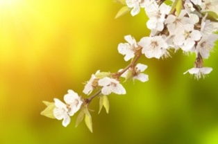 春含有山水描寫春天的古詩句