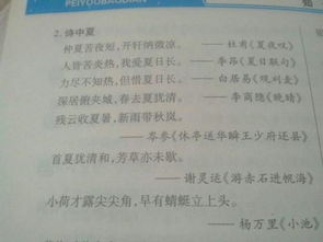 夏天的詩句古詩大全要整首