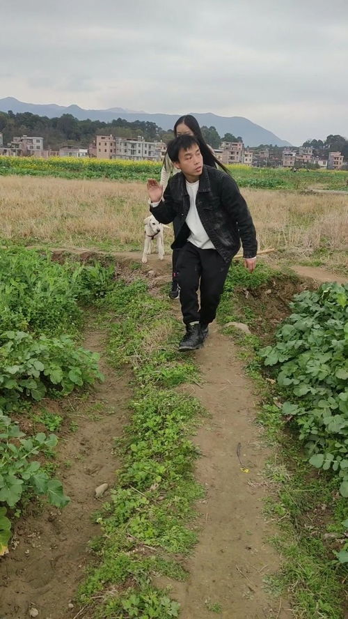 關(guān)于下雨的搞笑詩句