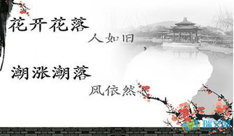 關(guān)于傷感絕望的古詩句