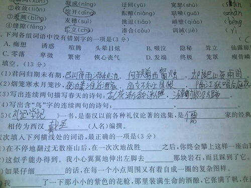 兩句關(guān)于鳥(niǎo)的詩(shī)句