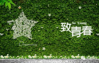 描寫青春的優(yōu)美詩句,青春的現(xiàn)代優(yōu)美的詩句摘抄,關(guān)于青春奮斗的優(yōu)美詩句