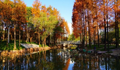 寫秋景的詩句古詩離別