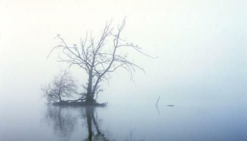 關(guān)于嚴(yán)寒的現(xiàn)代詩句