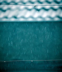 關于春雨的詩句風