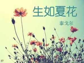 泰戈?duì)栮P(guān)于花兒的詩(shī)句