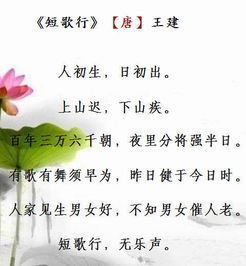 關(guān)于孝心感恩的詩(shī)句