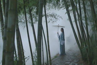 詩(shī)句,詩(shī)詞,于新