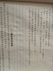 杜甫關(guān)于煮書(shū)的詩(shī)句