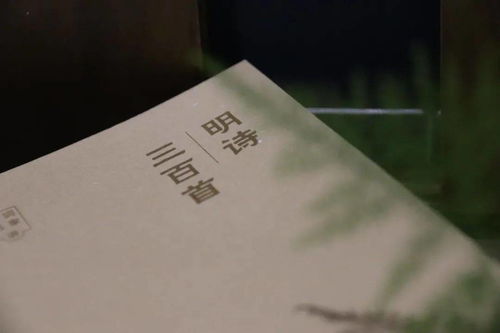 表示有氣節(jié)的古詩句