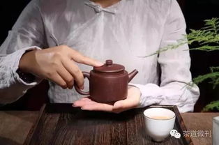 關(guān)于綠茶的四句詩句