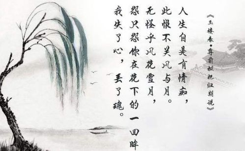 松濤,詩句,形容