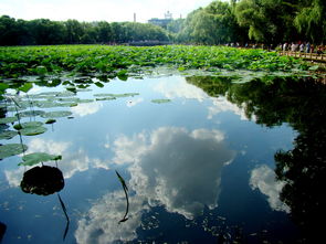 湖光的古詩句子,關(guān)于湖光秋色的古詩,描寫湖光秋色的古詩