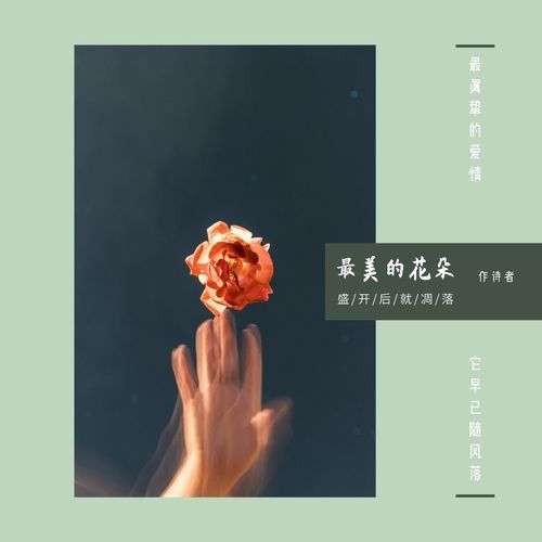 關(guān)于花兒凋落的詩(shī)句