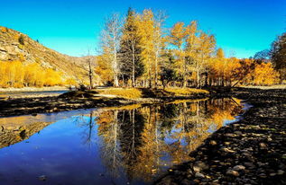 歌頌,母愛,詩句