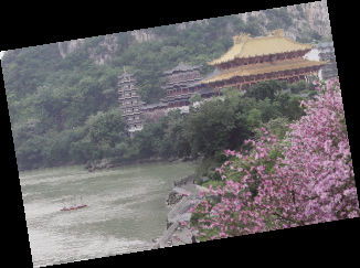 關(guān)于九月紫荊花的詩句