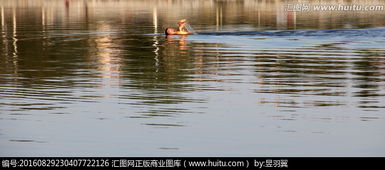 關(guān)于湖中游泳的詩句