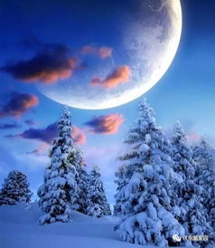 關(guān)于星星的詩句古詩詞