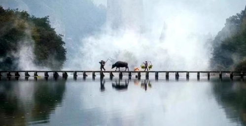 關(guān)于養(yǎng)老方面的詩(shī)句