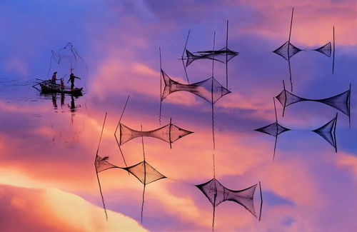 形容日出而作的詩句,日出而作日落而歸的詩句,日出而作日落而息相關(guān)的詩句