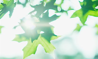 祝愿不生病的古詩句