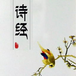 《詩(shī)經(jīng)》中關(guān)于桑蠶的詩(shī)句