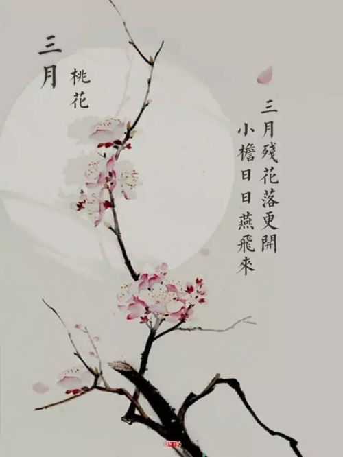關(guān)于描寫春花的詩(shī)句古詩(shī),有關(guān)春花的詩(shī)句古詩(shī),關(guān)于春花的詩(shī)句古詩(shī)小學(xué)