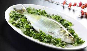 關(guān)于品嘗鰣魚的詩句