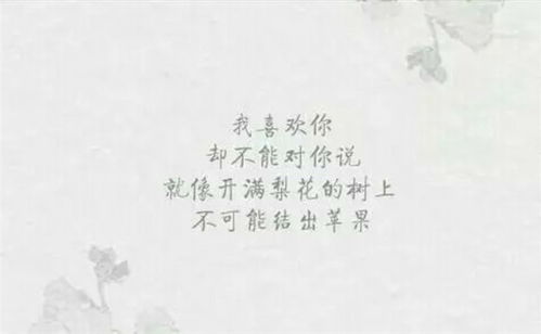 古詩,詩句,暗戀,唯美