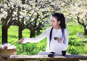 關(guān)于普洱茶的古詩句,形容普洱茶的美句,形容時光飛逝的古詩句