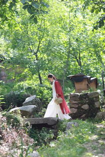 關(guān)于終南山隱居詩(shī)句