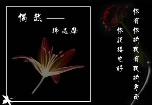 菜花,詩(shī)句,徐志,于海