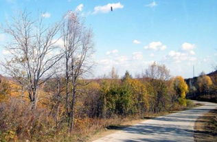 關(guān)于寫秋天景色的詩句古詩詞