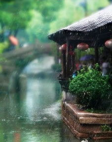 春天的雨詩句古詩大全