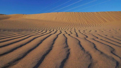 有哪些關(guān)于植物頑強(qiáng)生長(zhǎng)的詩(shī)句呢想一想寫下來,有哪些關(guān)于植物頑強(qiáng)生長(zhǎng)的詩(shī)句呢,有哪些關(guān)于植物頑強(qiáng)生長(zhǎng)的詩(shī)句三年級(jí)