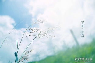 關(guān)于歲月流逝人生無(wú)痕的詩(shī)句