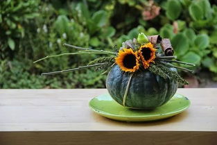 關(guān)于南瓜花的詩句大全