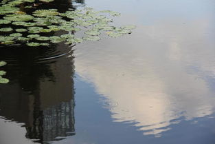 關于池塘倒映的詩句