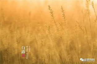 美好風(fēng)景的古詩(shī)句